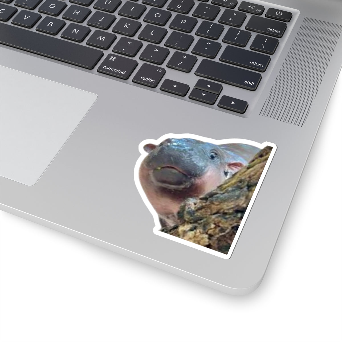 Cute Moodeng Kiss-Cut Stickers for Laptops, Lockers, Notebooks and Great as Gifts!